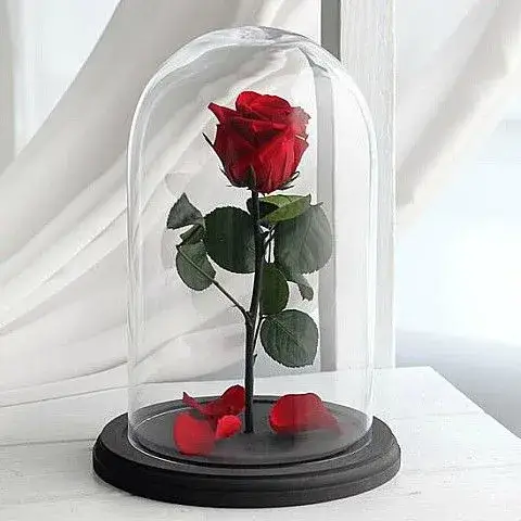 Forever Roses Παντοτινά Τριαντάφυλλα Αποστολή Αθήνα Δωρεάν Delivery